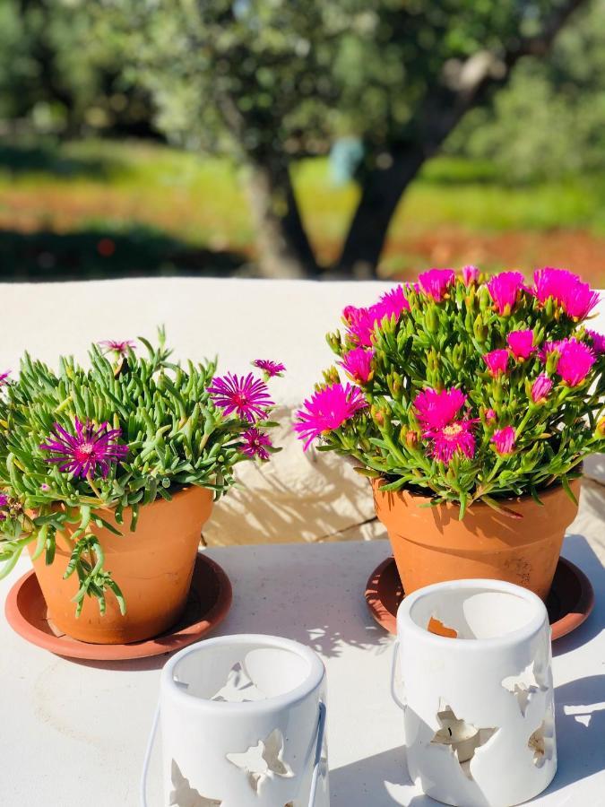 Suite Paraiso Ostuni Dış mekan fotoğraf