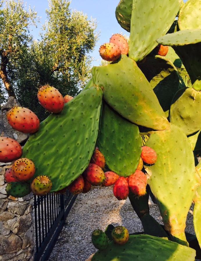 Suite Paraiso Ostuni Dış mekan fotoğraf